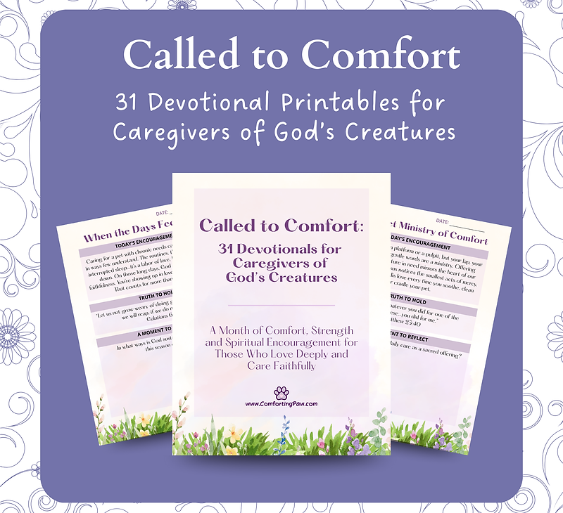 Called to Comfort
