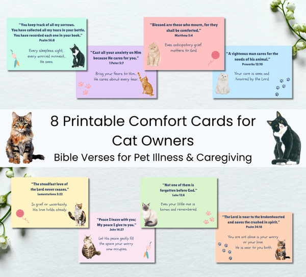 Comforting Scripture Cards for Cat Caregivers