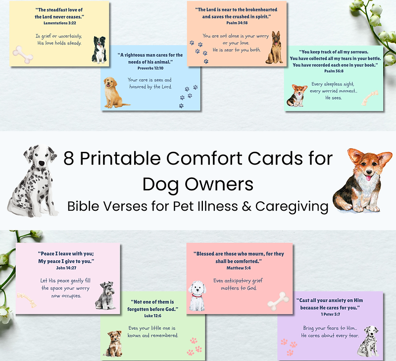 Comforting Scripture Cards for Dog Caregivers