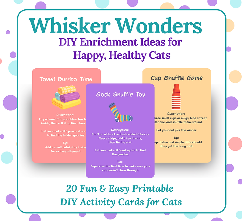 Whisker Wonders